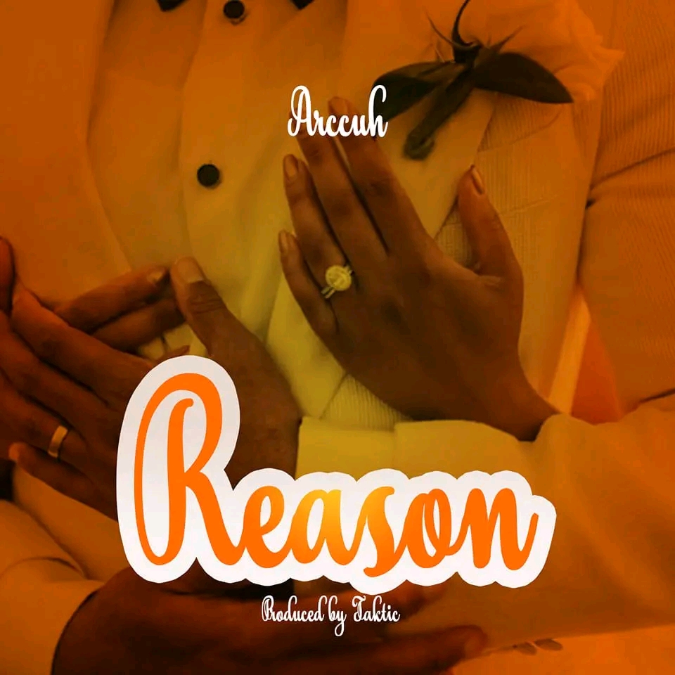 Music Track Reason  by Arccuh